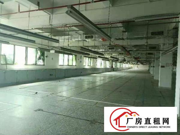  望牛墩独院厂房一栋1-3楼出租共5000平方,形象好交通方便