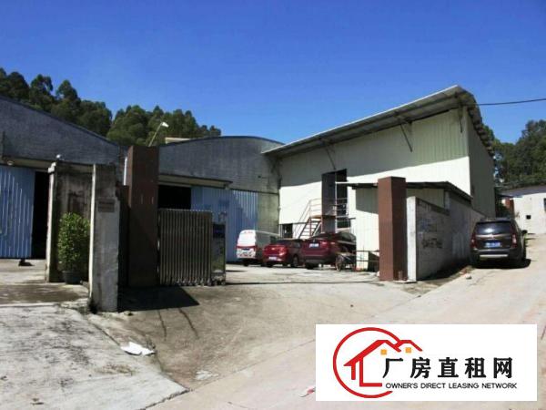  望牛墩、麻涌大量独院一楼厂房仓库低价出租