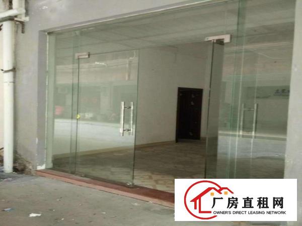  望牛墩、麻涌大量独院一楼厂房仓库低价出租