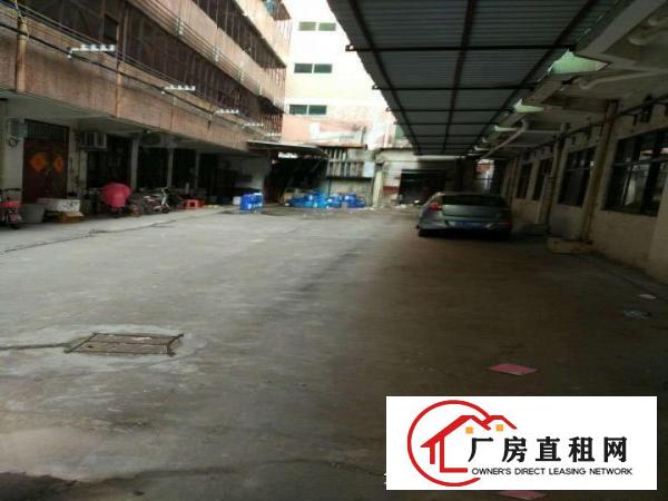 望牛墩、麻涌大量独院一楼厂房仓库低价出租