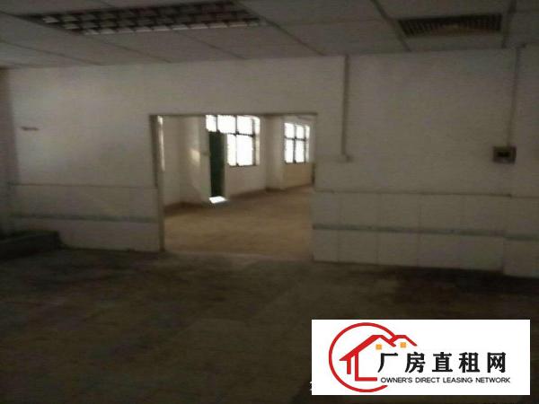  望牛墩、麻涌大量独院一楼厂房仓库低价出租