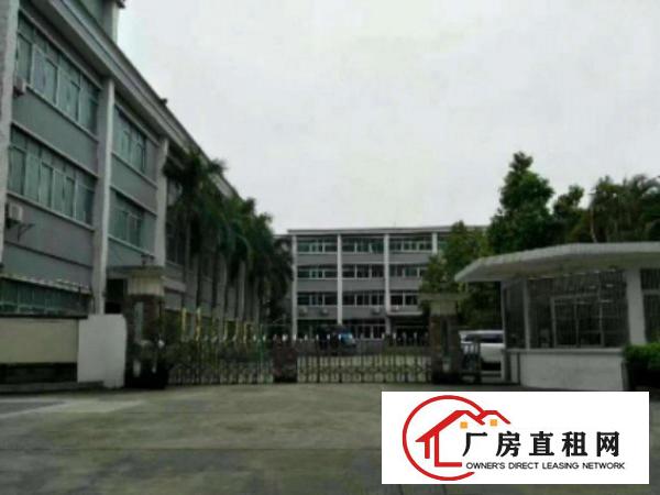  望牛墩标准一楼3000平方出租配电按需消防水电齐全交通方便