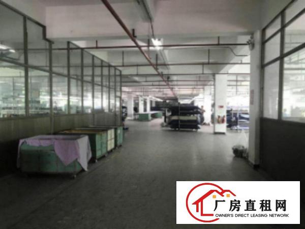  望牛墩工业园楼上带装修厂房分租2500平方左右出租