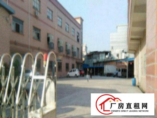  望牛墩标准一楼厂房500-5000平米低价招租