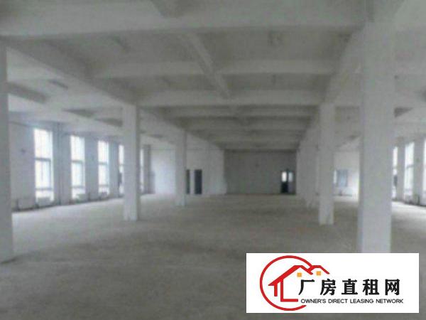  望牛墩标准一楼厂房500-5000平米低价招租