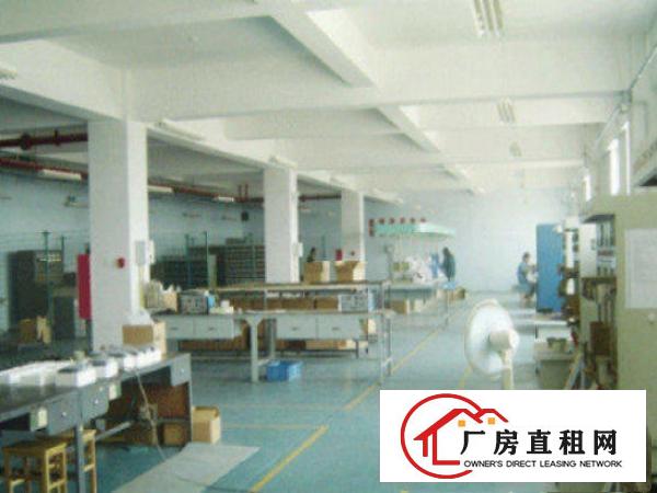  望牛墩标准一楼厂房500-5000平米低价招租