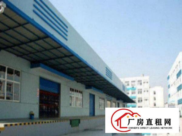  望牛墩工业区新出一楼7米高1000平带豪华办公室装修出租