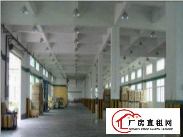  望牛墩工业区新出一楼7米高1000平带豪华办公室装修出租