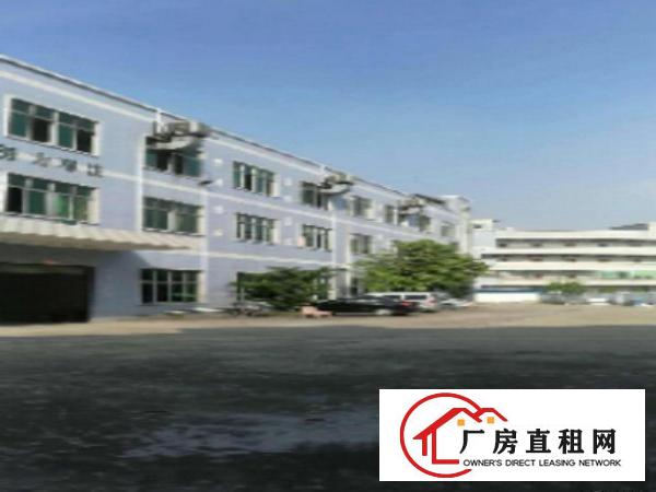  望牛墩标准厂房分租一楼1500平方出租水电齐全,光线好