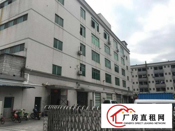  出租望牛墩新钢结构8米滴水厂房出租