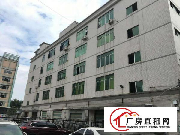  出租望牛墩新钢结构8米滴水厂房出租