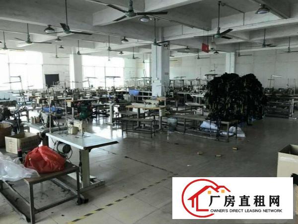  出租望牛墩新钢结构8米滴水厂房出租
