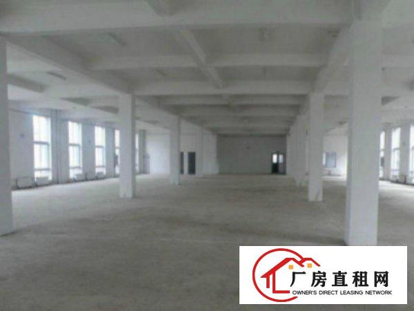  望牛墩单一层厂房800平方，办公室3间，现成水电宿舍按需