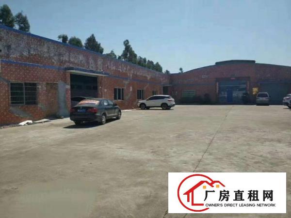  望牛墩环城路旁单一层钢结构带隔热厂房2300平方出租可办环评