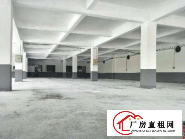  望牛墩独院标准楼房1-4层6500平方出租带电梯配电315