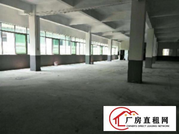  望牛墩独院标准楼房1-4层6500平方出租带电梯配电315