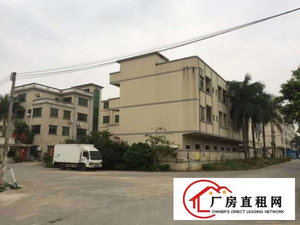 望牛墩小型厂房仓库直租,水电齐全,现成装修