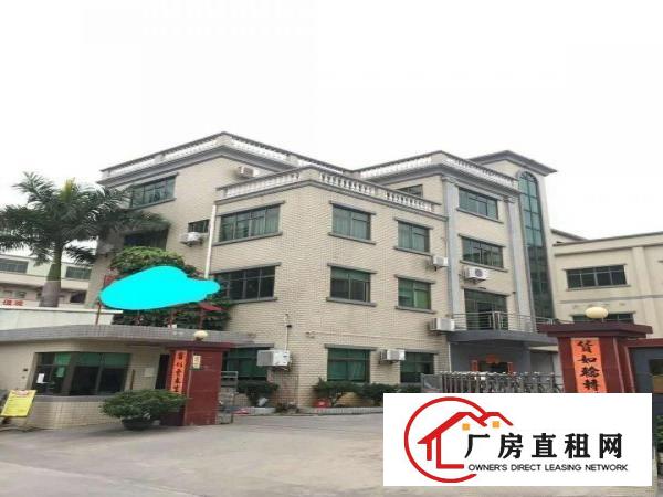  望牛墩小型厂房仓库直租,水电齐全,现成装修
