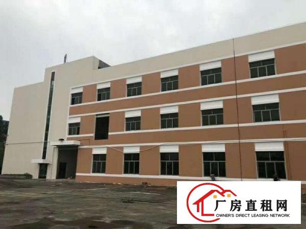  望牛墩独院标准厂房3层12000平方带卸货平台空地超大可分租