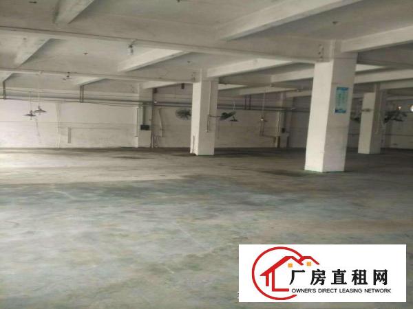  望牛墩新出独院厂房出租共2760平可分租可办环评证齐