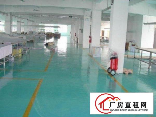  望牛墩工业园厂房分租1000平方低价招租中