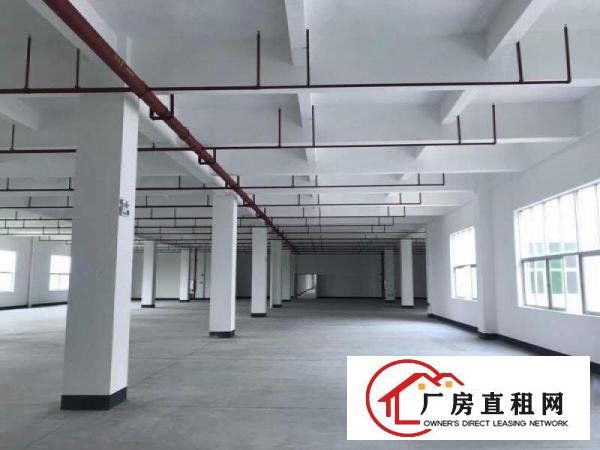  望牛墩工业区标准厂房分租楼上2000平出租