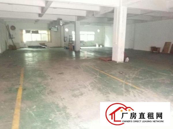  望牛墩聚龙江标准厂房分租一楼1200平方,车间水电齐
