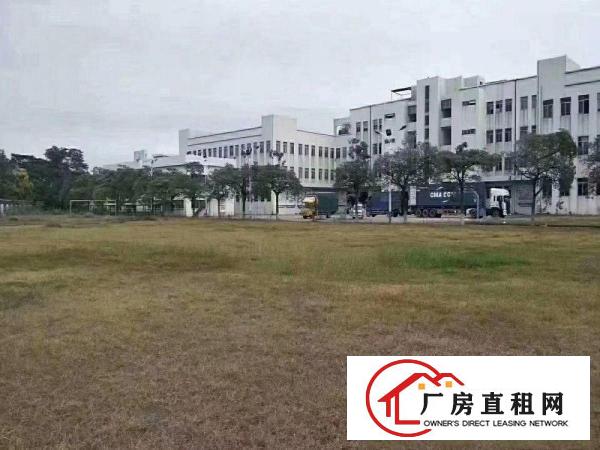  望牛墩水乡片区5万平方,厂房出租医院、学校、物流园等.