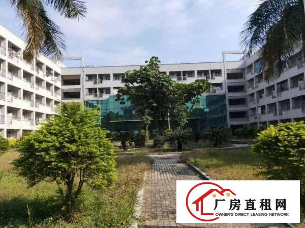  望牛墩水乡片区5万平方,厂房出租医院、学校、物流园等.