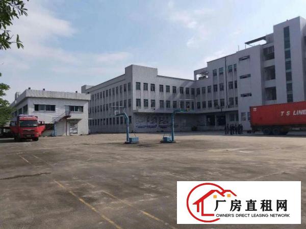  望牛墩水乡片区5万平方,厂房出租医院、学校、物流园等.