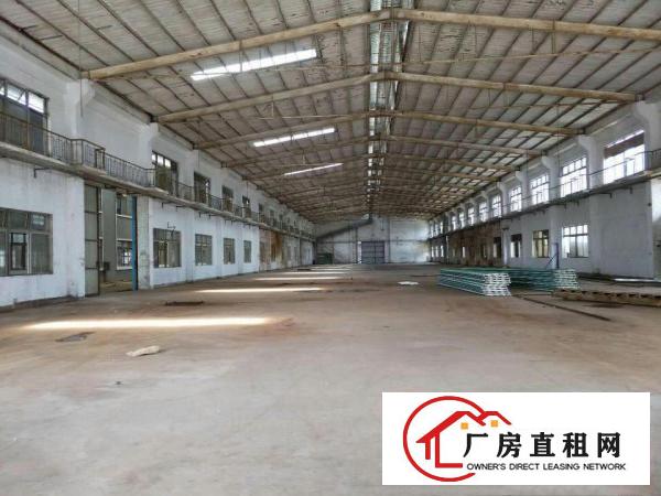  望牛墩城区新出独院单一层钢构厂房2500平方出租