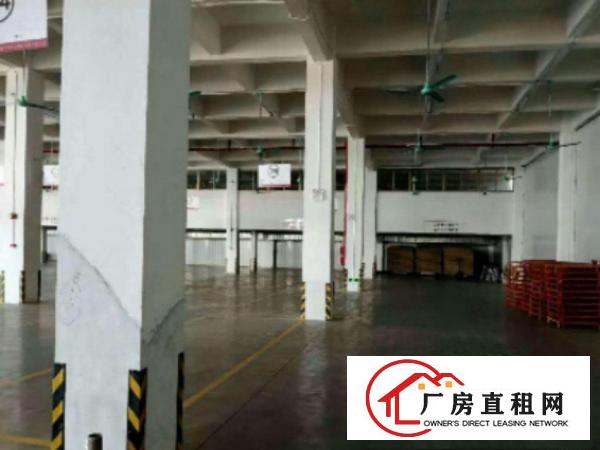  望牛墩即将空出标准厂房一楼2600平方带独立卸货平台出租