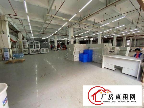  东莞望牛墩独院厂房50000平米厂房出租