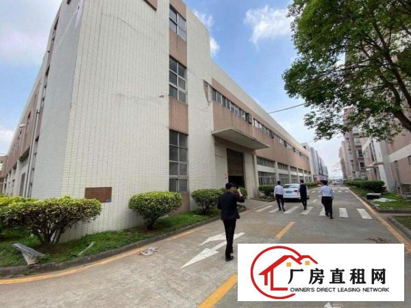  东莞望牛墩独院厂房50000平米厂房出租