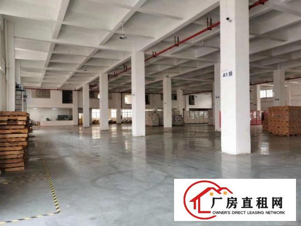  东莞望牛墩独院厂房50000平米厂房出租