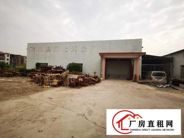  望牛墩1200平方独院厂房出租，1000平方空地免费使用