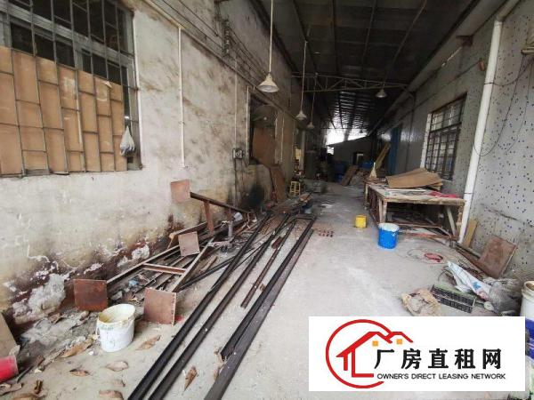  望牛墩1200平方独院厂房出租，1000平方空地免费使用
