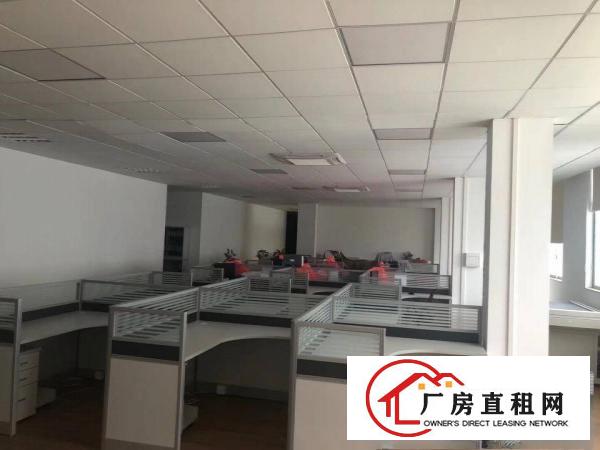  望牛墩官洲工业区新出独门独院单一层700平方