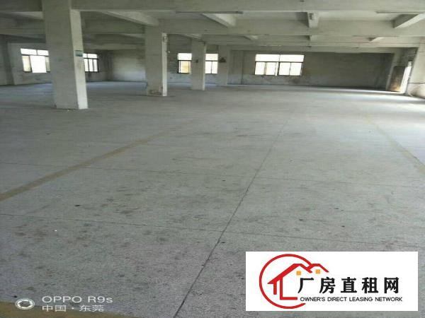  原房东独门独院标准厂房三层独门变压器空地约800平米出租
