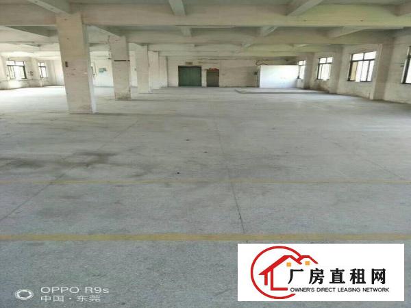  原房东独门独院标准厂房三层独门变压器空地约800平米出租