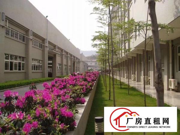  望牛墩政府项目全新标准厂房高新技术园区，上市公司形象，证件齐