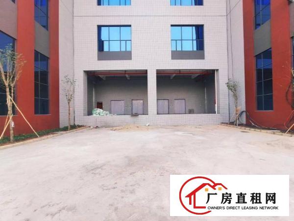  望牛墩政府项目全新标准厂房高新技术园区，上市公司形象，证件齐