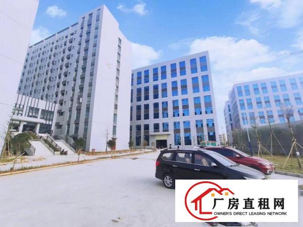  望牛墩政府项目全新标准厂房高新技术园区，上市公司形象，证件齐