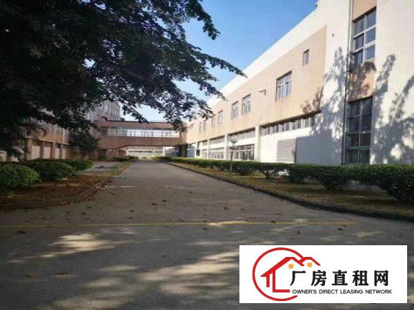  望牛墩镇新出花园式独院厂房！上市公司形象佳
