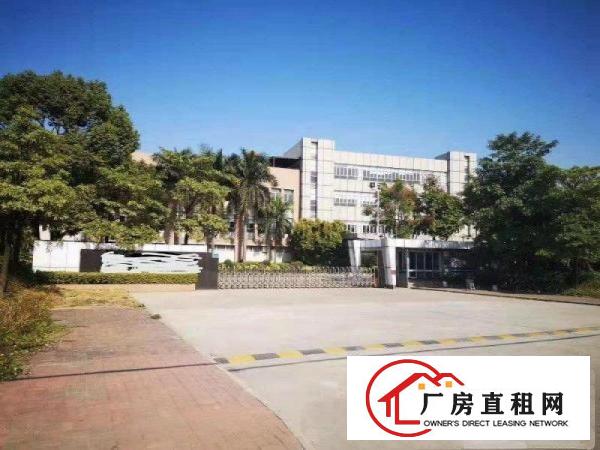  望牛墩镇新出花园式独院厂房！上市公司形象佳