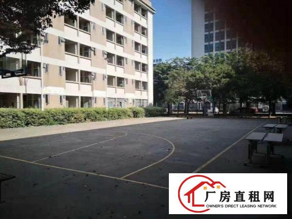  望牛墩镇新出花园式独院厂房！上市公司形象佳