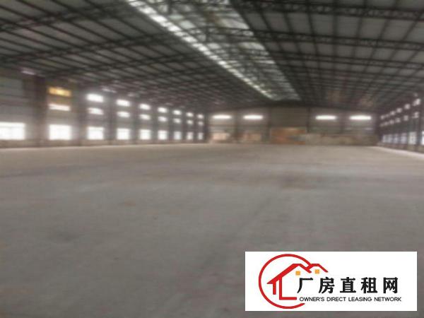  望牛墩钢构3500平方单一层厂房出租形象好交通方便可办环评