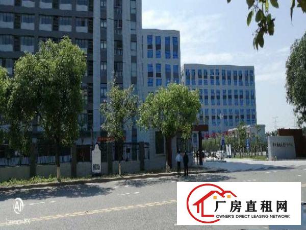  望牛墩高新产业园独门独院标准楼房低价出租