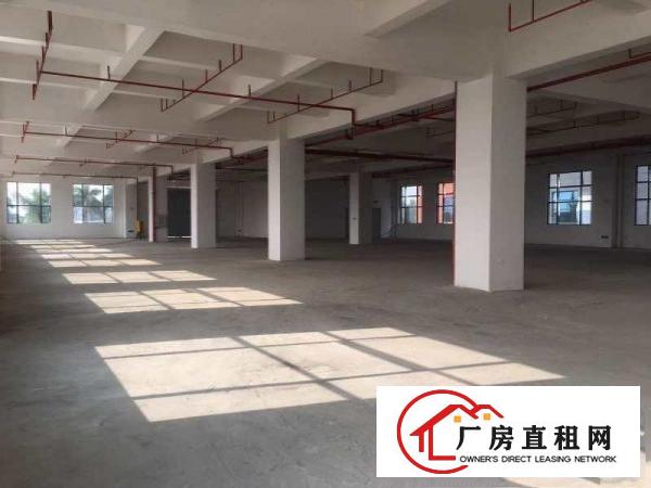  望牛墩高新产业园独门独院标准楼房低价出租
