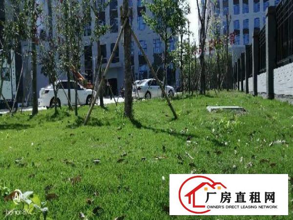  望牛墩高新产业园独门独院标准楼房低价出租